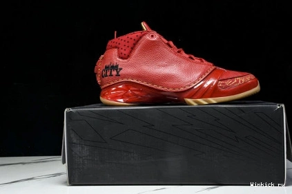 Chicago 23 Jordan 1115